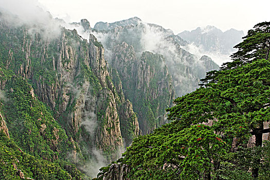 什么药吃了乖乖听话C1B8D97C5-18975